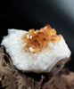 Citrine Display (0.94LB) #2505