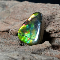 Freeform Natural Ammolite Loose Gemstone #A411