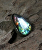 Freeform Natural Ammolite Loose Gemstone #A411