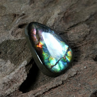 Freeform Natural Ammolite Loose Gemstone #A411