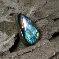 Freeform Natural Ammolite Loose Gemstone #A411