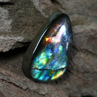 Freeform Natural Ammolite Loose Gemstone #A411