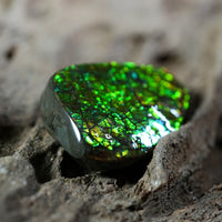 Freeform Natural Ammolite Loose Gemstone #A233