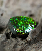 Freeform Natural Ammolite Loose Gemstone #A233