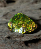 Freeform Natural Ammolite Loose Gemstone #A233