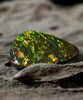 Freeform Natural Ammolite Loose Gemstone #A233