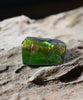 Freeform Natural Ammolite Loose Gemstone #A253