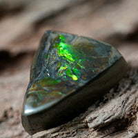 Freeform Natural Ammolite Loose Gemstone #A253