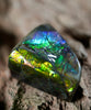 Freeform Natural Ammolite Loose Gemstone #A253