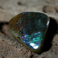 Freeform Natural Ammolite Loose Gemstone #A231