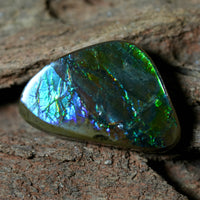 Freeform Natural Ammolite Loose Gemstone #A231