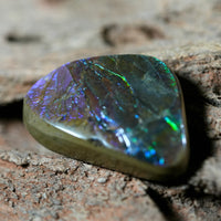 Freeform Natural Ammolite Loose Gemstone #A231