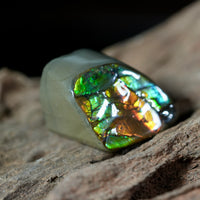 Freeform Natural Ammolite Loose Gemstone #A232