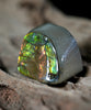 Freeform Natural Ammolite Loose Gemstone #A232