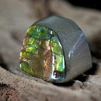 Freeform Natural Ammolite Loose Gemstone #A232