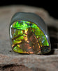 Freeform Natural Ammolite Loose Gemstone #A232