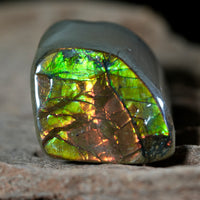 Freeform Natural Ammolite Loose Gemstone #A232