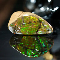 Freeform Natural Ammolite Loose Gemstone #A252