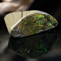 Freeform Natural Ammolite Loose Gemstone #A252