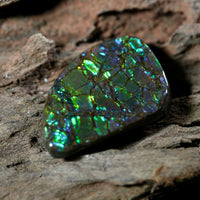 Freeform Natural Ammolite Loose Gemstone #A257