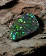 Freeform Natural Ammolite Loose Gemstone #A257