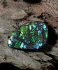 Freeform Natural Ammolite Loose Gemstone #A257