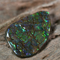 Freeform Natural Ammolite Loose Gemstone #A257