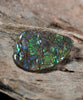 Freeform Natural Ammolite Loose Gemstone #A257