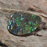 Freeform Natural Ammolite Loose Gemstone #A257