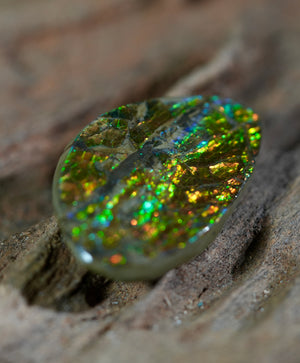 Freeform Natural Ammolite Loose Gemstone #A229