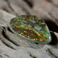 Freeform Natural Ammolite Loose Gemstone #A229