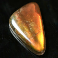 Freeform Natural Ammolite Loose Gemstone #A423