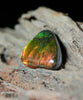 Freeform Natural Ammolite Loose Gemstone #A408