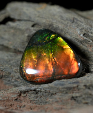 Freeform Natural Ammolite Loose Gemstone #A408