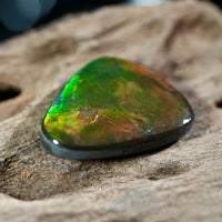 Freeform Natural Ammolite Loose Gemstone #A407