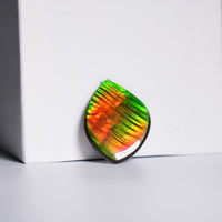 DOUBLE-SIDED FREEFORM AMMOLITE LOOSE GEMSTONE #A366