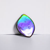 DOUBLE-SIDED FREEFORM AMMOLITE LOOSE GEMSTONE #A366