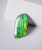 DOUBLE-SIDED FREEFORM AMMOLITE LOOSE GEMSTONE #A368