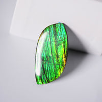 DOUBLE-SIDED FREEFORM AMMOLITE LOOSE GEMSTONE #A368