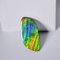 DOUBLE-SIDED FREEFORM AMMOLITE LOOSE GEMSTONE #A368