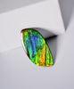 DOUBLE-SIDED FREEFORM AMMOLITE LOOSE GEMSTONE #A368