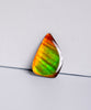 DOUBLE-SIDED FREEFORM AMMOLITE LOOSE GEMSTONE #A367