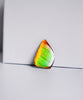 DOUBLE-SIDED FREEFORM AMMOLITE LOOSE GEMSTONE #A367