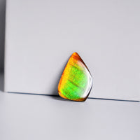 DOUBLE-SIDED FREEFORM AMMOLITE LOOSE GEMSTONE #A367