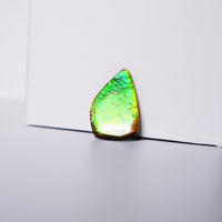 DOUBLE-SIDED FREEFORM AMMOLITE LOOSE GEMSTONE #A367