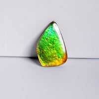 DOUBLE-SIDED FREEFORM AMMOLITE LOOSE GEMSTONE #A367