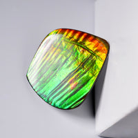 DOUBLE-SIDED FREEFORM AMMOLITE LOOSE GEMSTONE  #A370