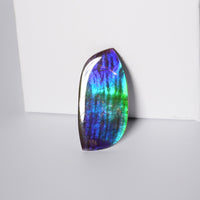 DOUBLE-SIDED FREEFORM AMMOLITE LOOSE GEMSTONE #A369