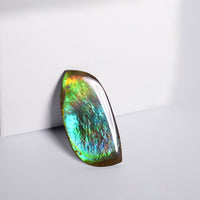 DOUBLE-SIDED FREEFORM AMMOLITE LOOSE GEMSTONE #A369