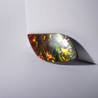 FREEFORM AMMOLITE LOOSE GEMSTONE #272